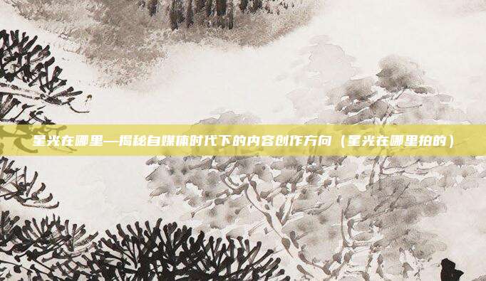 星光在哪里—揭秘自媒体时代下的内容创作方向(星光在哪里拍的)