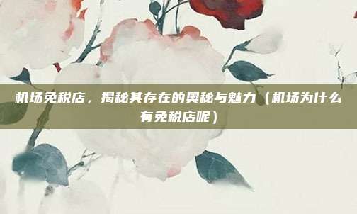 机场免税店,揭秘其存在的奥秘与魅力(机场为什么有免税店呢)