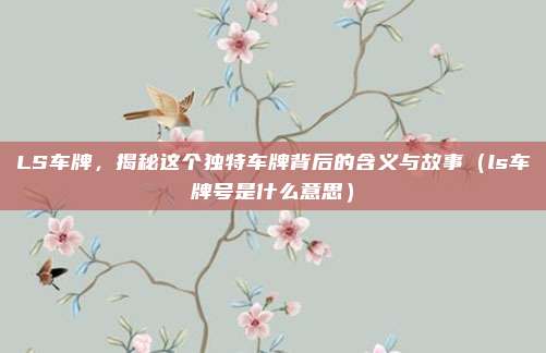 LS车牌,揭秘这个独特车牌背后的含义与故事(ls车牌号是什么意思)