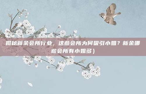 揭秘新余会所行业,这些会所为何吸引小姐?新余哪些会所有小姐多)