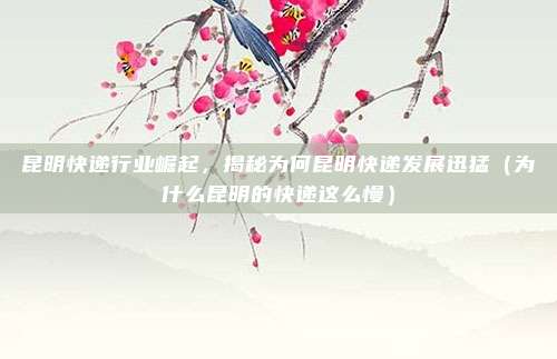 昆明快递行业崛起,揭秘为何昆明快递发展迅猛(为什么昆明的快递这么慢)