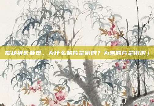 揭秘摄影奇观,为什么照片是倒的?为啥照片是倒的)