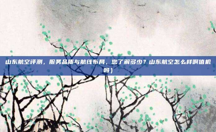 山东航空评测，服务品质与航线布局，您了解多少？山东航空怎么样啊值机吗）