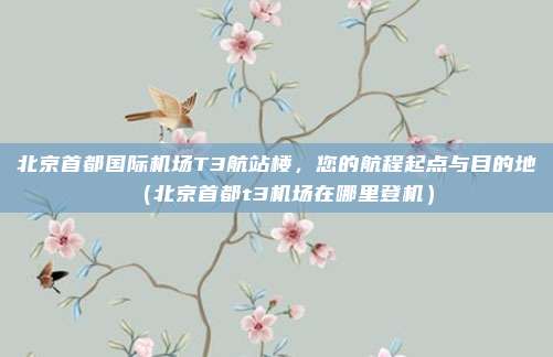 北京首都国际机场T3航站楼,您的航程起点与目的地(北京首都t3机场在哪里登机)