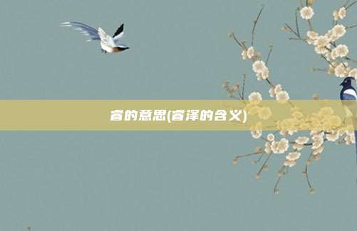 睿的意思(睿泽的含义)