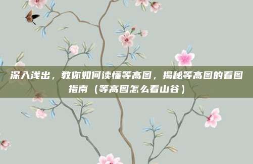 深入浅出,教你如何读懂等高图,揭秘等高图的看图指南(等高图怎么看山谷)