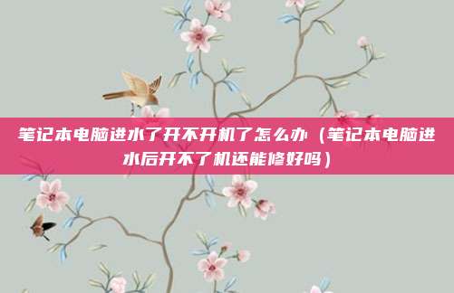笔记本电脑进水了开不开机了怎么办（笔记本电脑进水后开不了机还能修好吗）