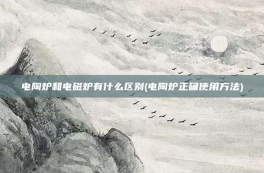 电陶炉和电磁炉有什么区别(电陶炉正确使用方法)