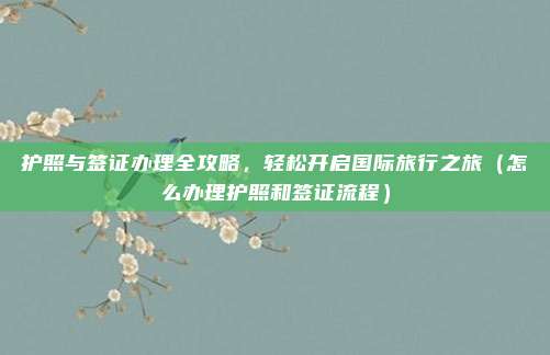 护照与签证办理全攻略，轻松开启国际旅行之旅（怎么办理护照和签证流程）