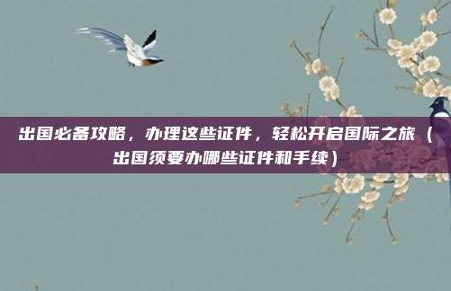 出国必备攻略,办理这些证件,轻松开启国际之旅(出国须要办哪些证件和手续)