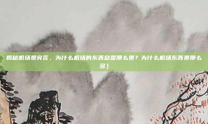 揭秘机场贵宾区,为什么机场的东西总是那么贵?为什么机场东西贵那么多)
