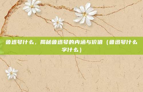 鲁迅号什么,揭秘鲁迅号的内涵与价值(鲁迅号什么字什么)