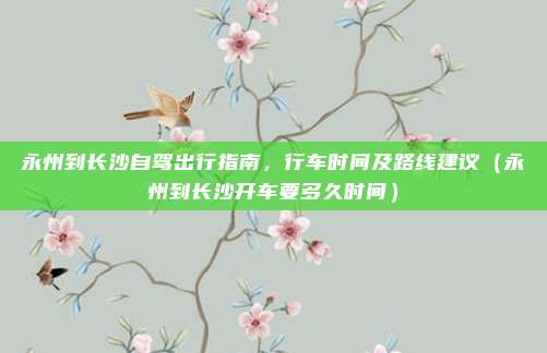 永州到长沙自驾出行指南,行车时间及路线建议(永州到长沙开车要多久时间)