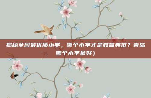 揭秘全国最优质小学，哪个小学才是教育典范？青岛哪个小学最好）