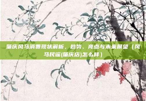 肇庆风马消费现状解析,趋势、亮点与未来展望(风马民谣(肇庆店)怎么样)
