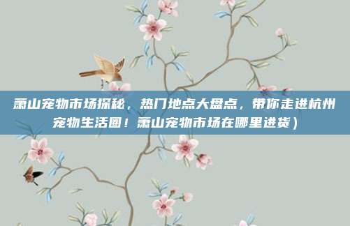 萧山宠物市场探秘,热门地点大盘点,带你走进杭州宠物生活圈!萧山宠物市场在哪里进货)