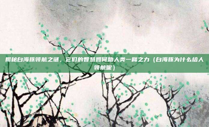 揭秘白海豚领航之谜,它们的智慧如何助人类一臂之力(白海豚为什么给人领航呢)
