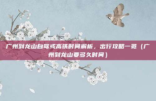广州到龙山自驾或高铁时间解析，出行攻略一览（广州到龙山要多久时间）