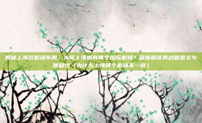 揭秘上海双机场布局,为何上海拥有两个国际机场?深度解读其战略意义与便利性(为什么上海两个机场不一样)