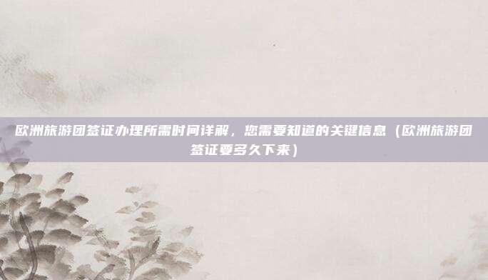 欧洲旅游团签证办理所需时间详解,您需要知道的关键信息(欧洲旅游团签证要多久下来)