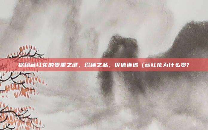 探秘藏红花的贵重之谜,珍稀之品,价值连城(藏红花为什么贵?