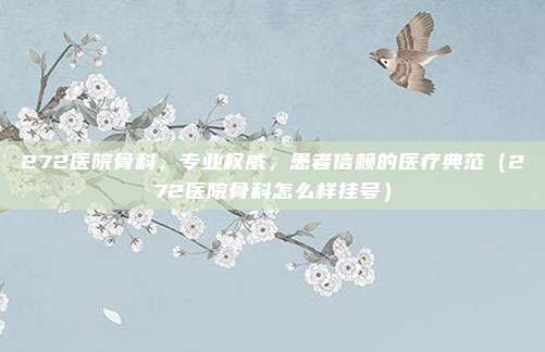 272医院骨科,专业权威,患者信赖的医疗典范(272医院骨科怎么样挂号)