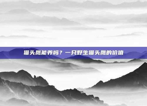 猫头鹰能养吗？一只野生猫头鹰的价值