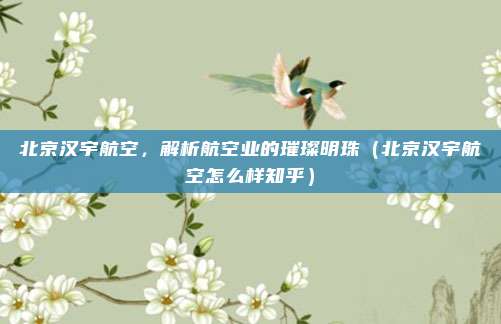 北京汉宇航空,解析航空业的璀璨明珠(北京汉宇航空怎么样知乎)