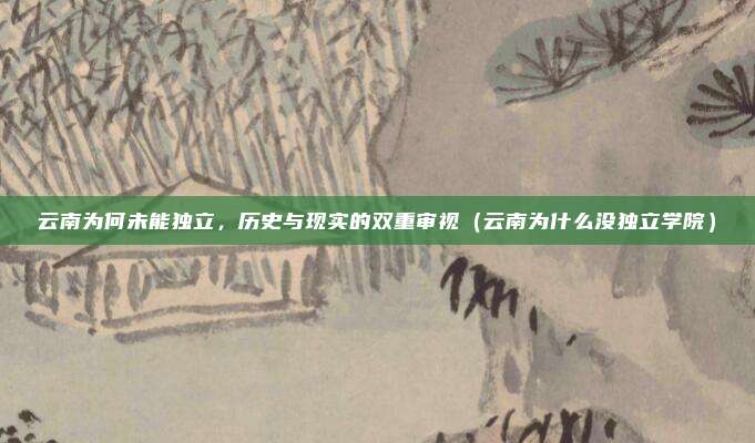 云南为何未能独立,历史与现实的双重审视(云南为什么没独立学院)