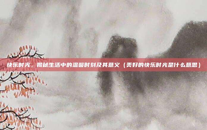 快乐时光,揭秘生活中的温馨时刻及其意义(美好的快乐时光是什么意思)