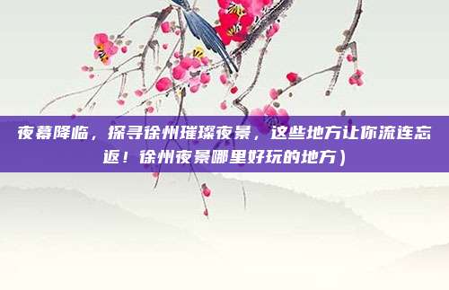 夜幕降临,探寻徐州璀璨夜景,这些地方让你流连忘返!徐州夜景哪里好玩的地方)