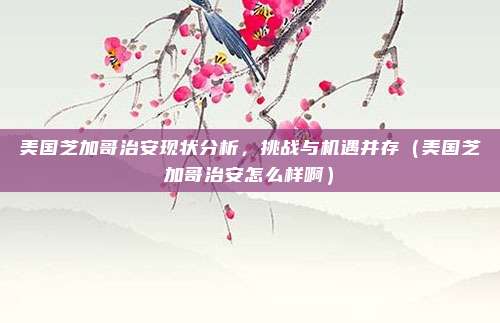 美国芝加哥治安现状分析,挑战与机遇并存(美国芝加哥治安怎么样啊)