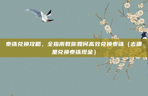泰铢兑换攻略,全指南教你如何高效兑换泰铢(去哪里兑换泰铢现金)