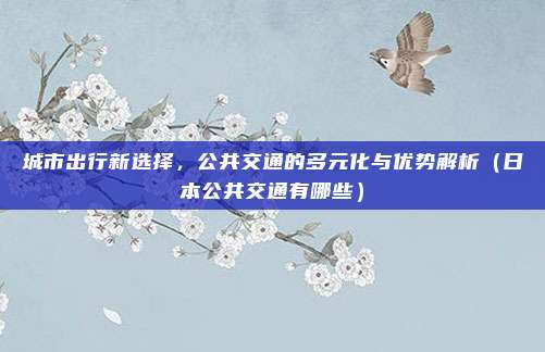 城市出行新选择,公共交通的多元化与优势解析(日本公共交通有哪些)