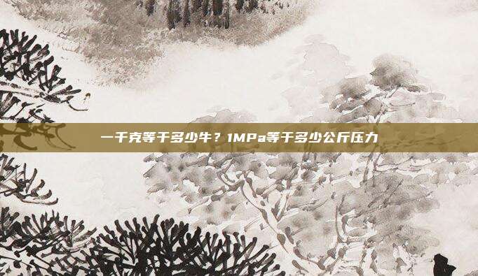 一千克等于多少牛？1MPa等于多少公斤压力