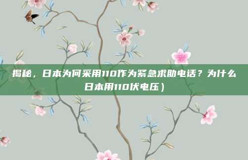 揭秘,日本为何采用110作为紧急求助电话?为什么日本用110伏电压)