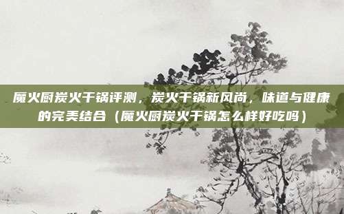 魔火厨炭火干锅评测,炭火干锅新风尚,味道与健康的完美结合(魔火厨炭火干锅怎么样好吃吗)