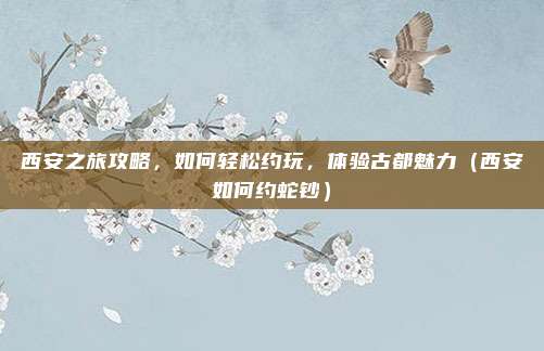 西安之旅攻略,如何轻松约玩,体验古都魅力(西安如何约蛇钞)
