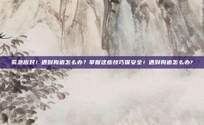 紧急应对!遇到狗追怎么办?掌握这些技巧保安全!遇到狗追怎么办?