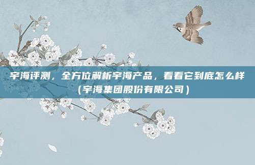宇海评测,全方位解析宇海产品,看看它到底怎么样(宇海集团股份有限公司)