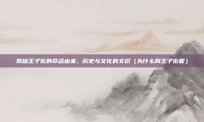 揭秘王子街的命名由来,历史与文化的交织(为什么叫王子街呢)