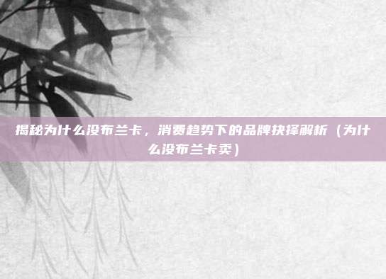 揭秘为什么没布兰卡,消费趋势下的品牌抉择解析(为什么没布兰卡卖)
