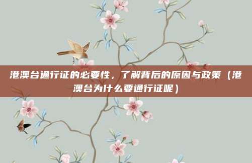 港澳台通行证的必要性,了解背后的原因与政策(港澳台为什么要通行证呢)