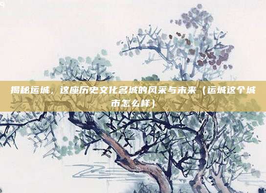 揭秘运城,这座历史文化名城的风采与未来(运城这个城市怎么样)