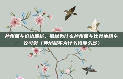神州租车价格解析,揭秘为什么神州租车比其他租车公司贵(神州租车为什么贵那么多)