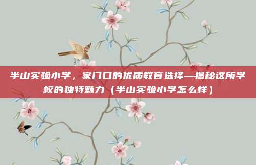 半山实验小学,家门口的优质教育选择—揭秘这所学校的独特魅力(半山实验小学怎么样)