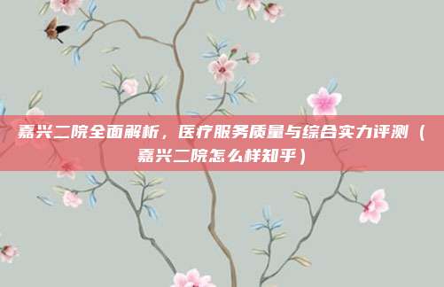 嘉兴二院全面解析,医疗服务质量与综合实力评测(嘉兴二院怎么样知乎)
