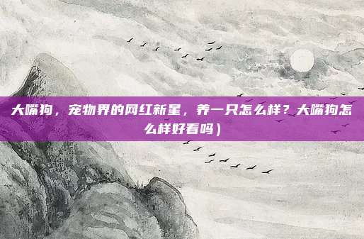 大嘴狗,宠物界的网红新星,养一只怎么样?大嘴狗怎么样好看吗)