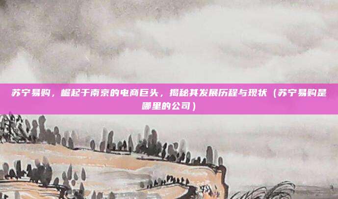 苏宁易购,崛起于南京的电商巨头,揭秘其发展历程与现状(苏宁易购是哪里的公司)