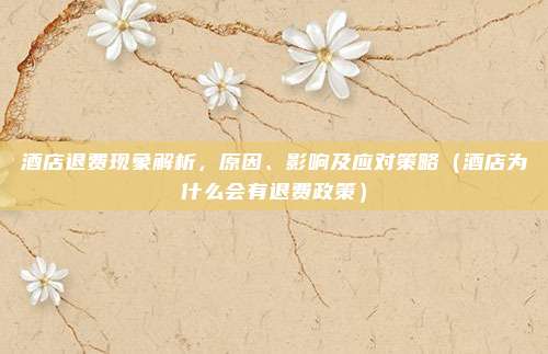 酒店退费现象解析，原因、影响及应对策略（酒店为什么会有退费政策）
